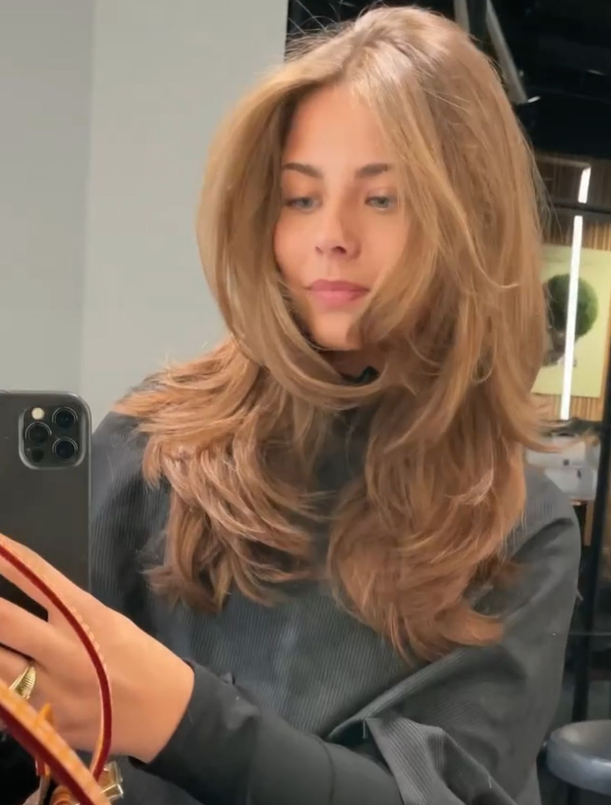 Big Fluffy Brown Hair