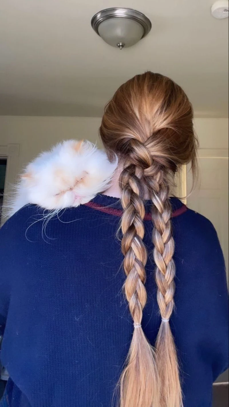 Merged Double Back Braid