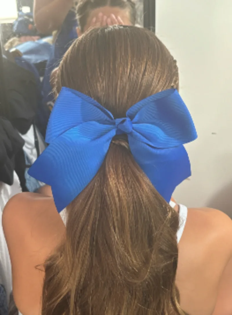 Classic Blue High Ponytail