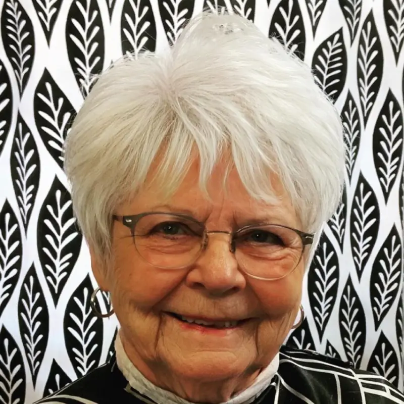 classic short silver haircut