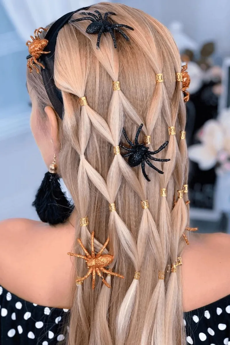 Spider Web Net