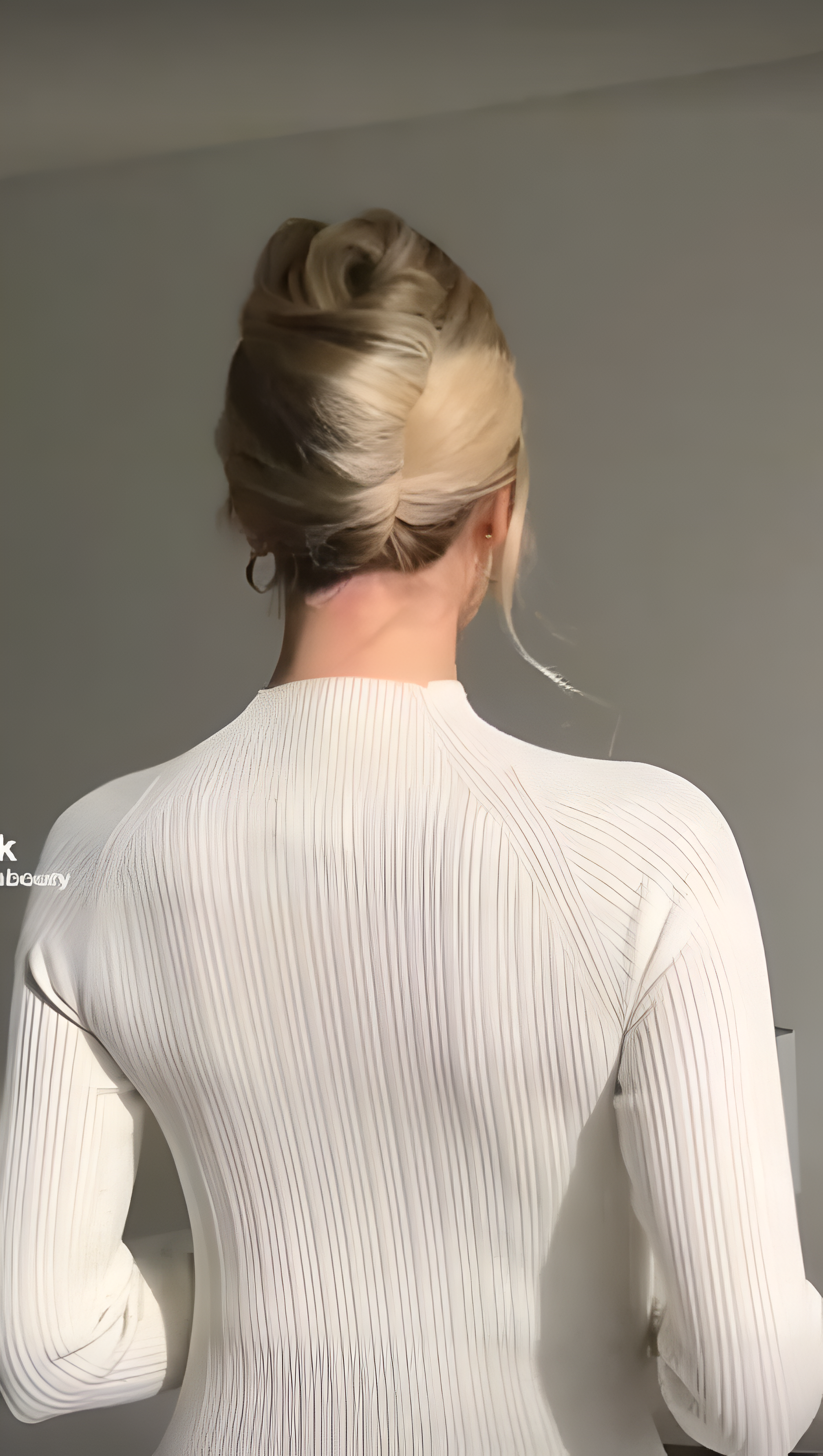 Braided High Top Bun