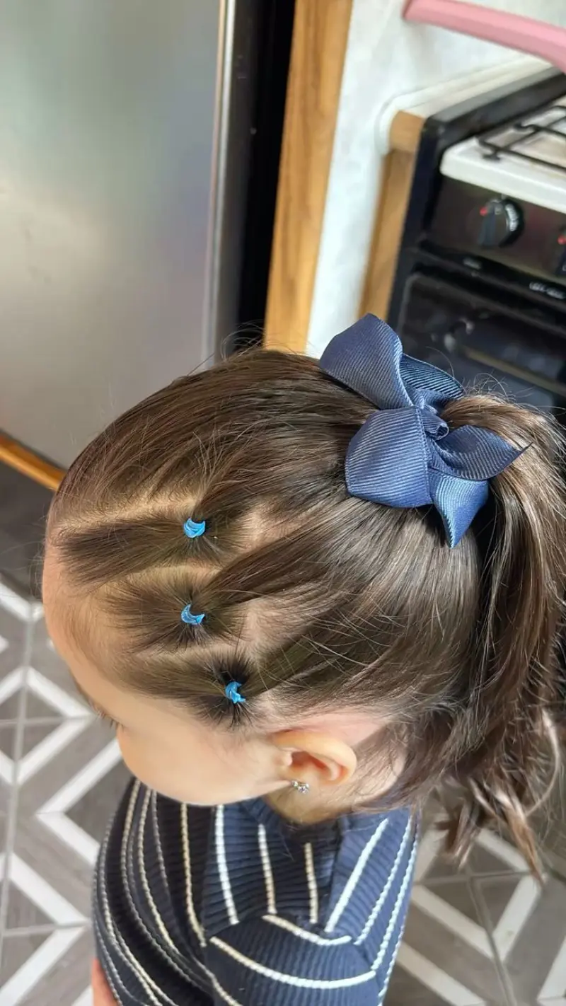 Side Braid Pony School Hairstyle