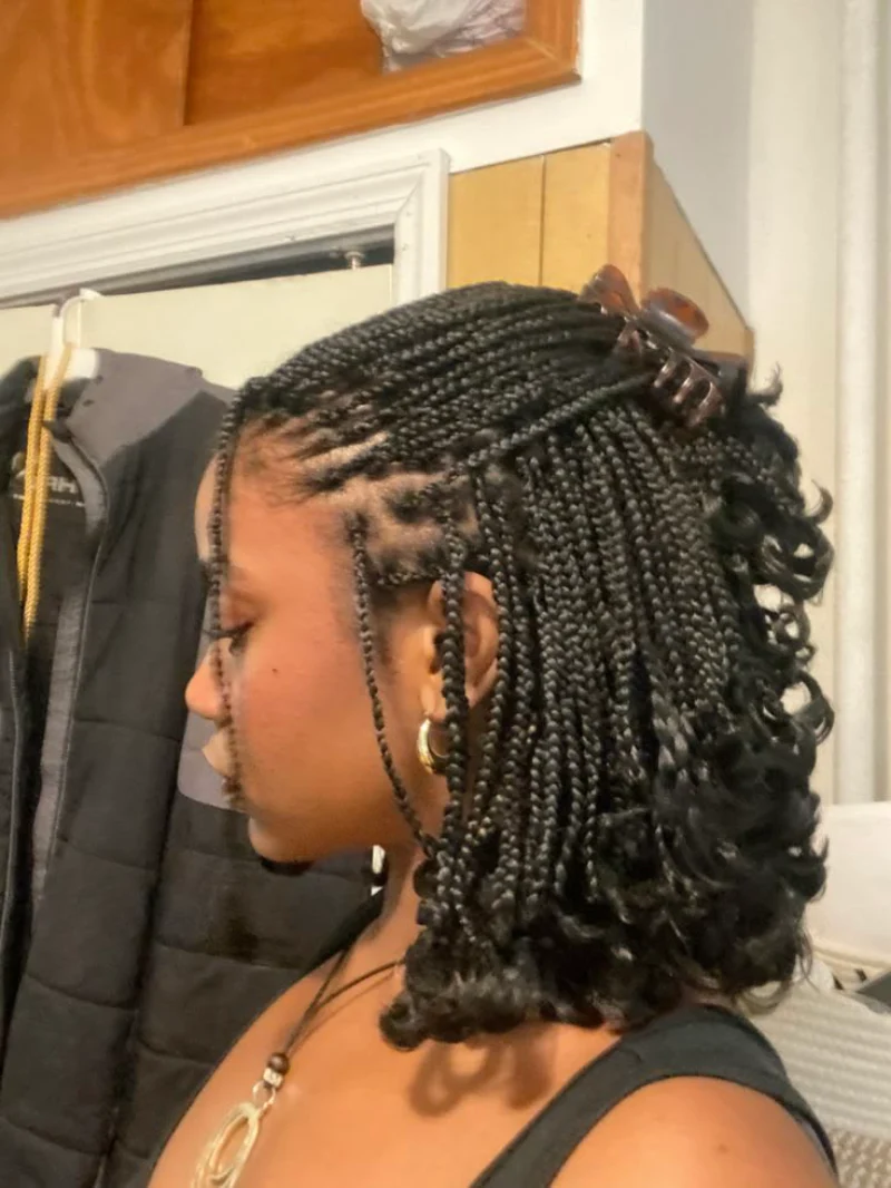 Short Braids with Clip